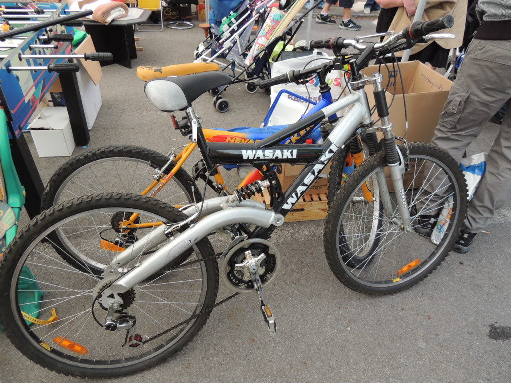 DSCN7990_JPG-1368636904