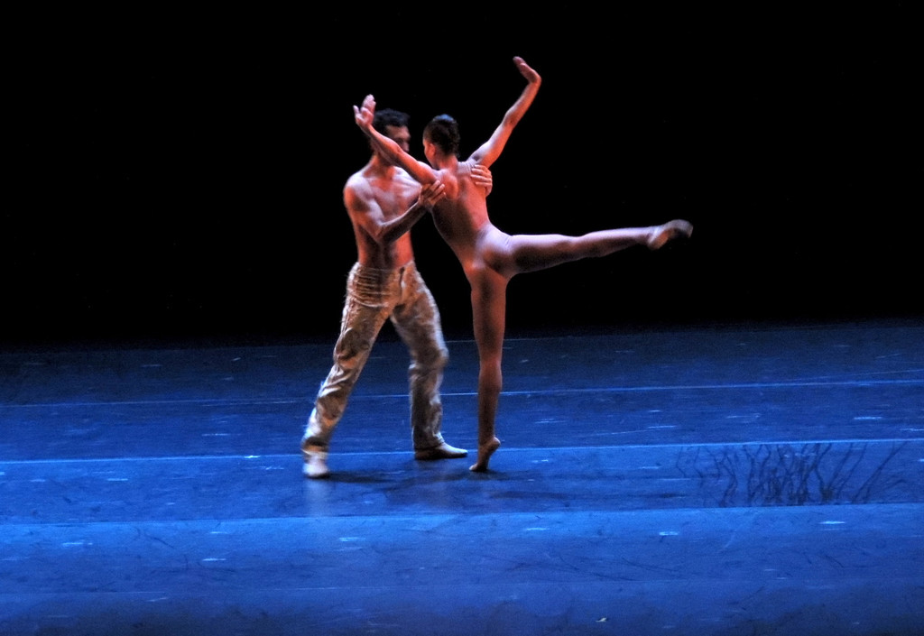 DSCN8493_JPG-1368650721