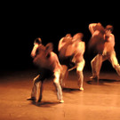 DSCN8479_JPG-1368650689