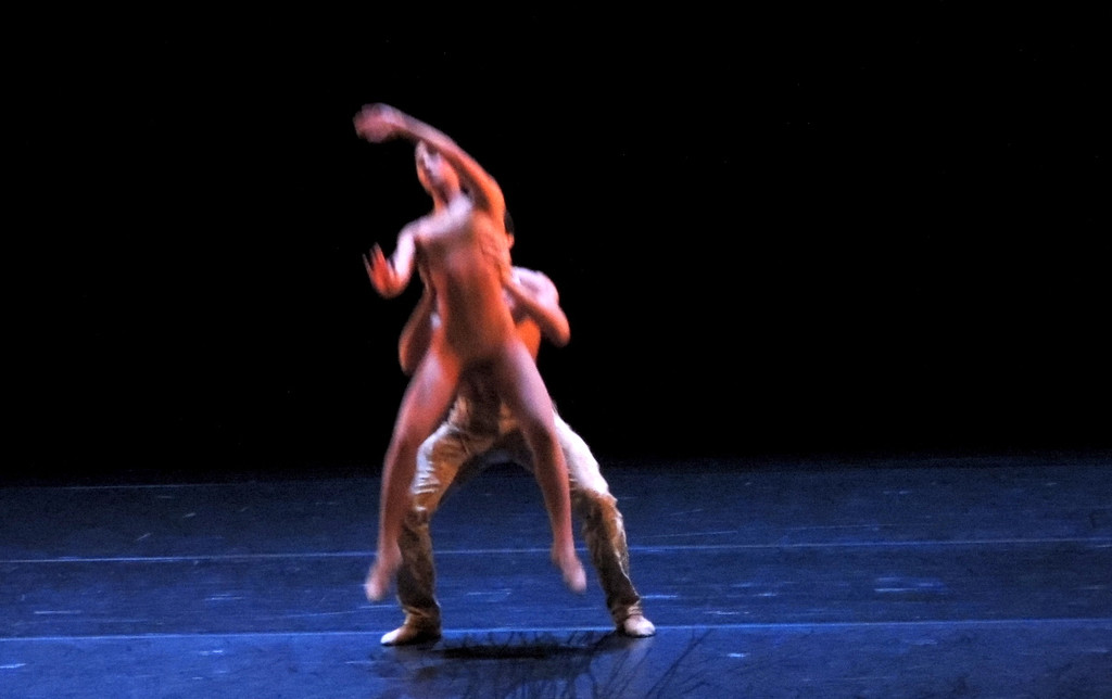 DSCN8490_JPG-1368650713