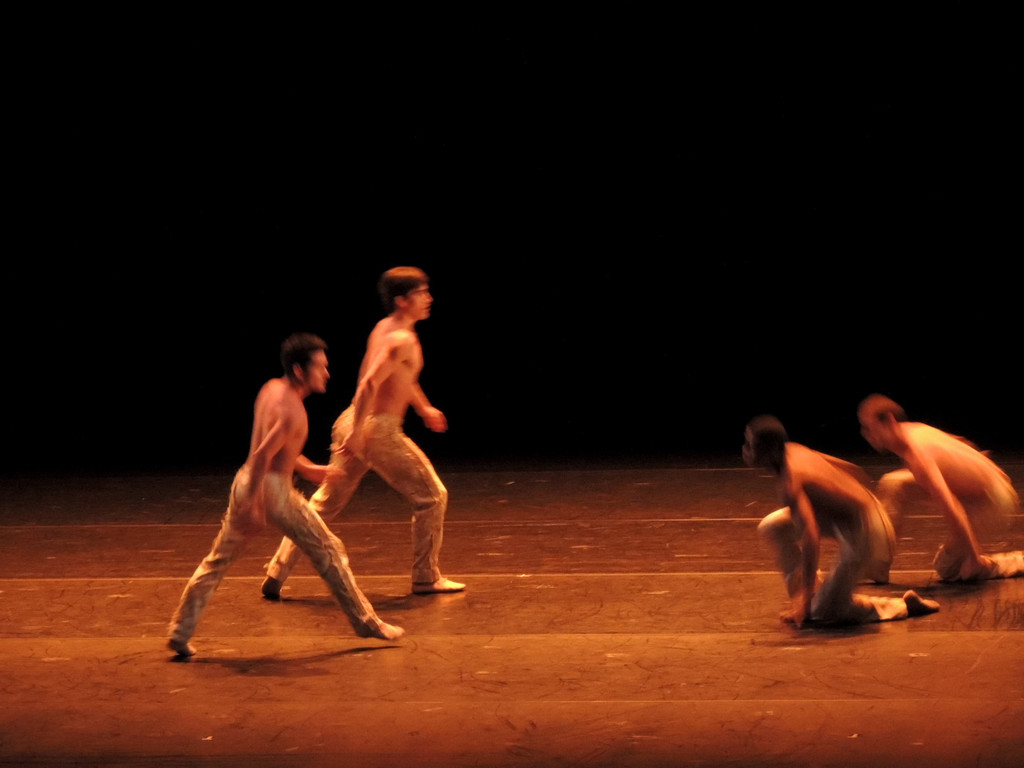 DSCN8489_JPG-1368650711