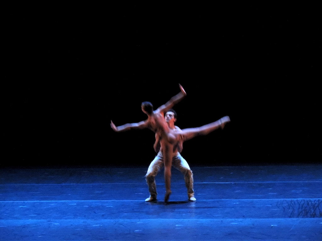 DSCN8499_JPG-1368650731