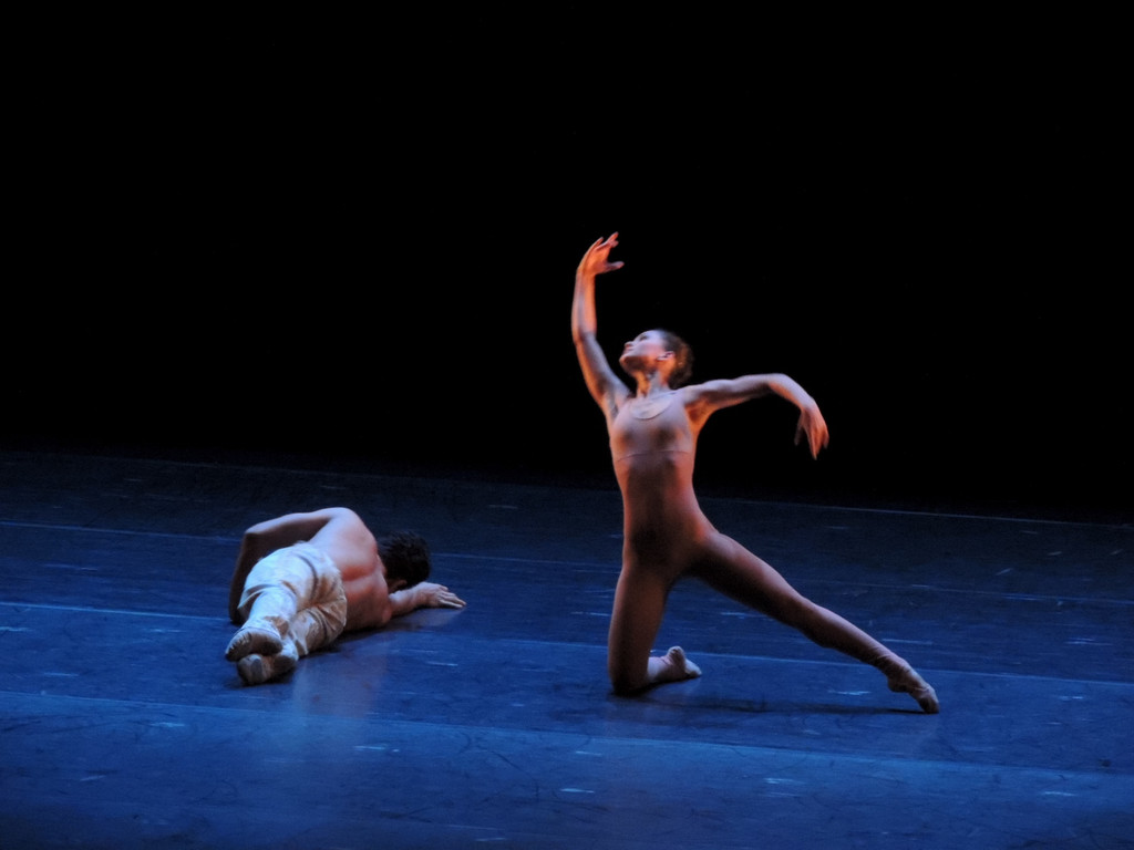 DSCN8522_JPG-1368650749