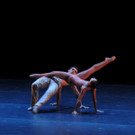 DSCN8524_JPG-1368650752