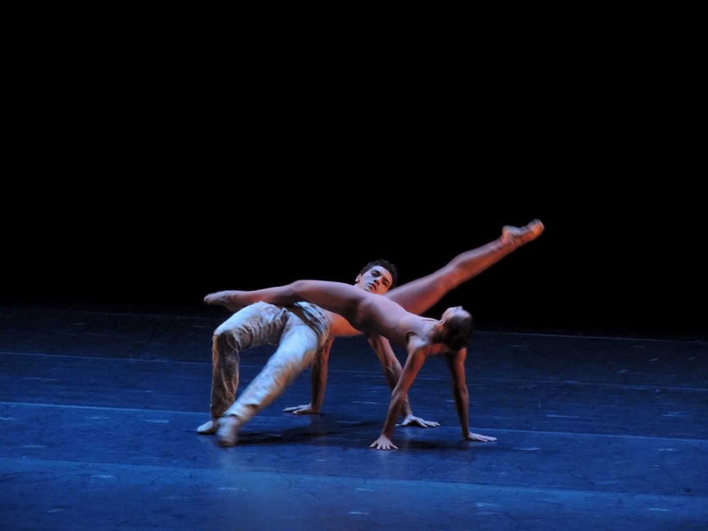 DSCN8524_JPG-1368650752