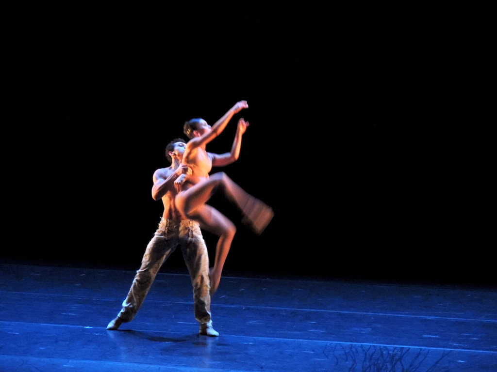 DSCN8528_JPG-1368650756