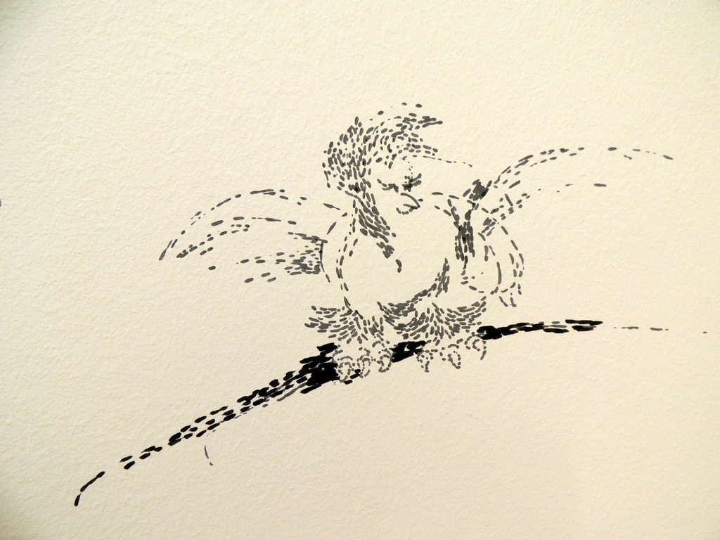 DSCN9519_JPG-1368652410