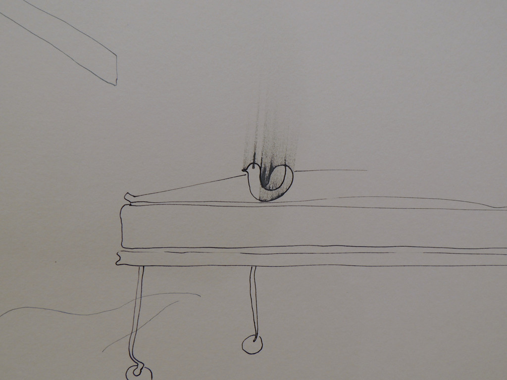 DSCN9545_JPG-1368652474