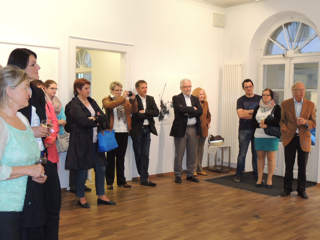 DSCN9569_JPG-1368652516