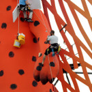 DSCN8044_JPG-1368653900