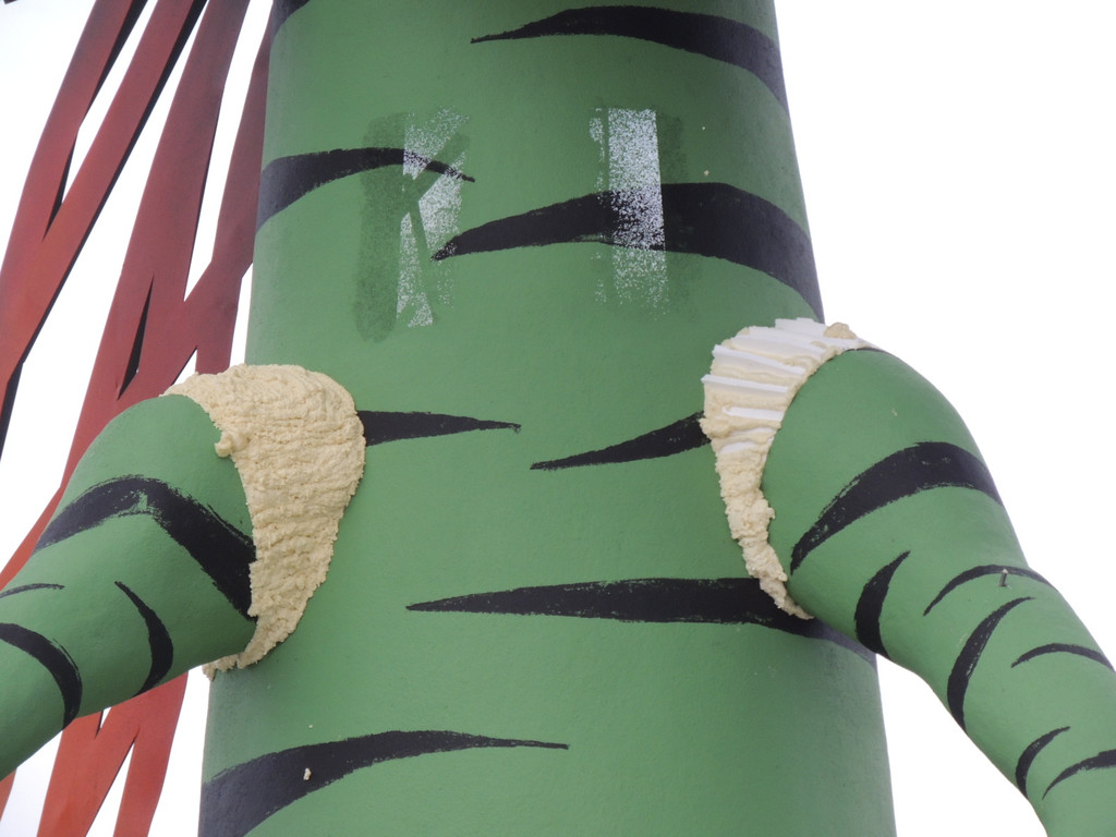 DSCN8076_JPG-1368653941