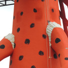 DSCN8402_JPG-1368653980