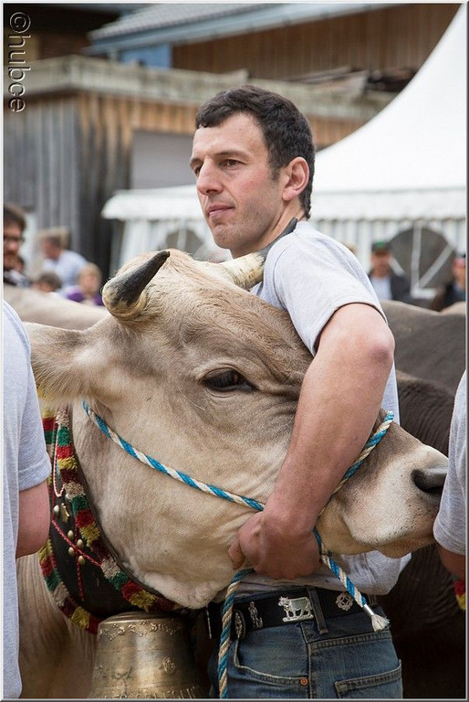 jarth    458.jpg