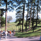 park2pfaenderbahnat.jpg