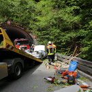 16052013baumde01001aktivnews_10.JPG