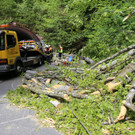 16052013baumde01001aktivnews_23.JPG