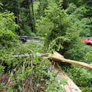 16052013baumde01001aktivnews_42.JPG