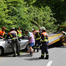 16052013baumde01001aktivnews_06.JPG