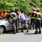 16052013baumde01001aktivnews_03.JPG