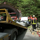 2013-05-16 VU B305 Baum auf Auto_08.jpg