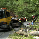 2013-05-16 VU B305 Baum auf Auto_17.jpg