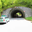 16052013baumde01001aktivnews_01.JPG