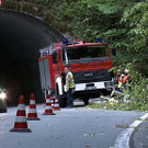 2013-05-16 VU B305 Baum auf Auto_43.jpg