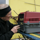 normal_02032010brandheldenffaktivnews_045.jpg