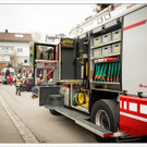 fwling 442_jpg-1368718038