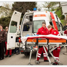 fwling 455_jpg-1368718045