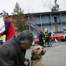 normal_02032010brandheldenffaktivnews_056.jpg