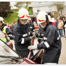 fwling 482_jpg-1368718058