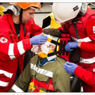 fwling 558_jpg-1368718079