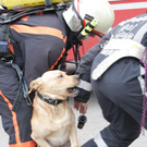 normal_02032010brandheldenffaktivnews_073.jpg