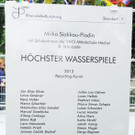 Wasserspiel H__chst 16-05-2013 82_jpg-1368724533