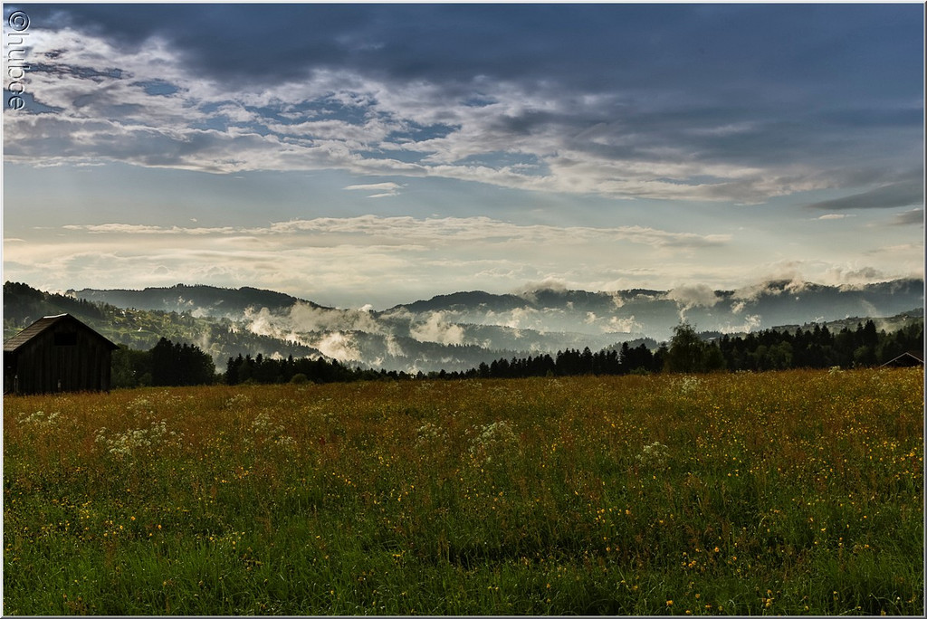 _59A0259_jpg-1368726944