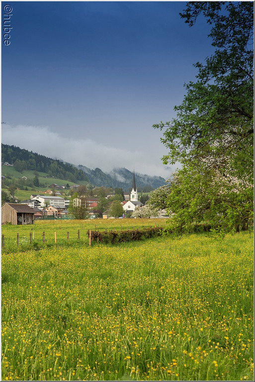 _59A0274_jpg-1368726960