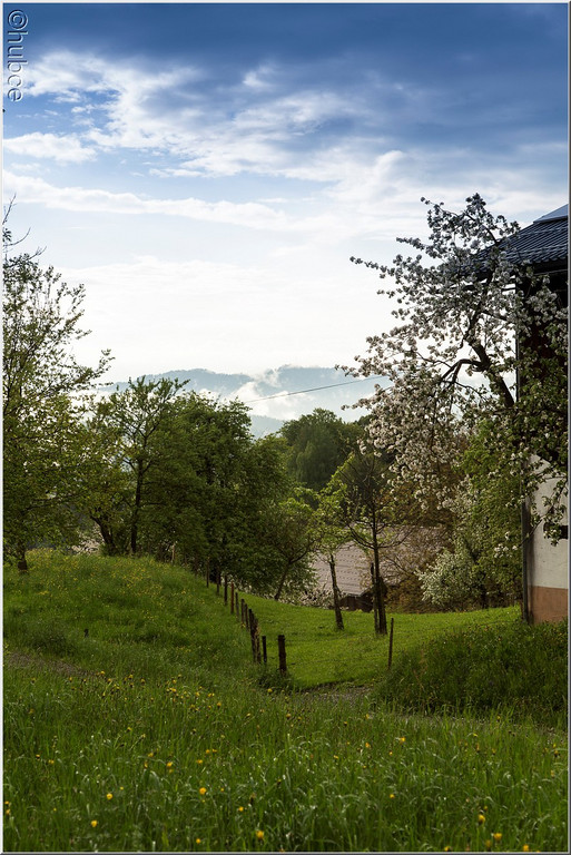 _59A0276_jpg-1368726963