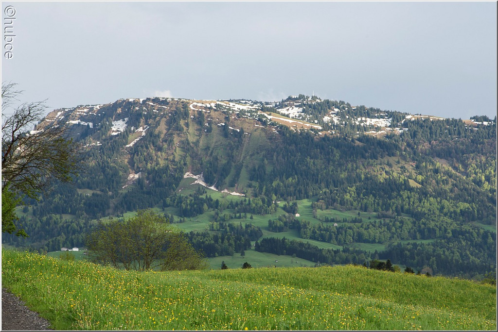 _59A0317_jpg-1368726994