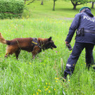 Auseinandersetzung Go__fis23.jpg