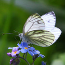 Die beeindruckendsten Tierbilder KW 20
