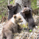 ABD0009-20130510.jpg