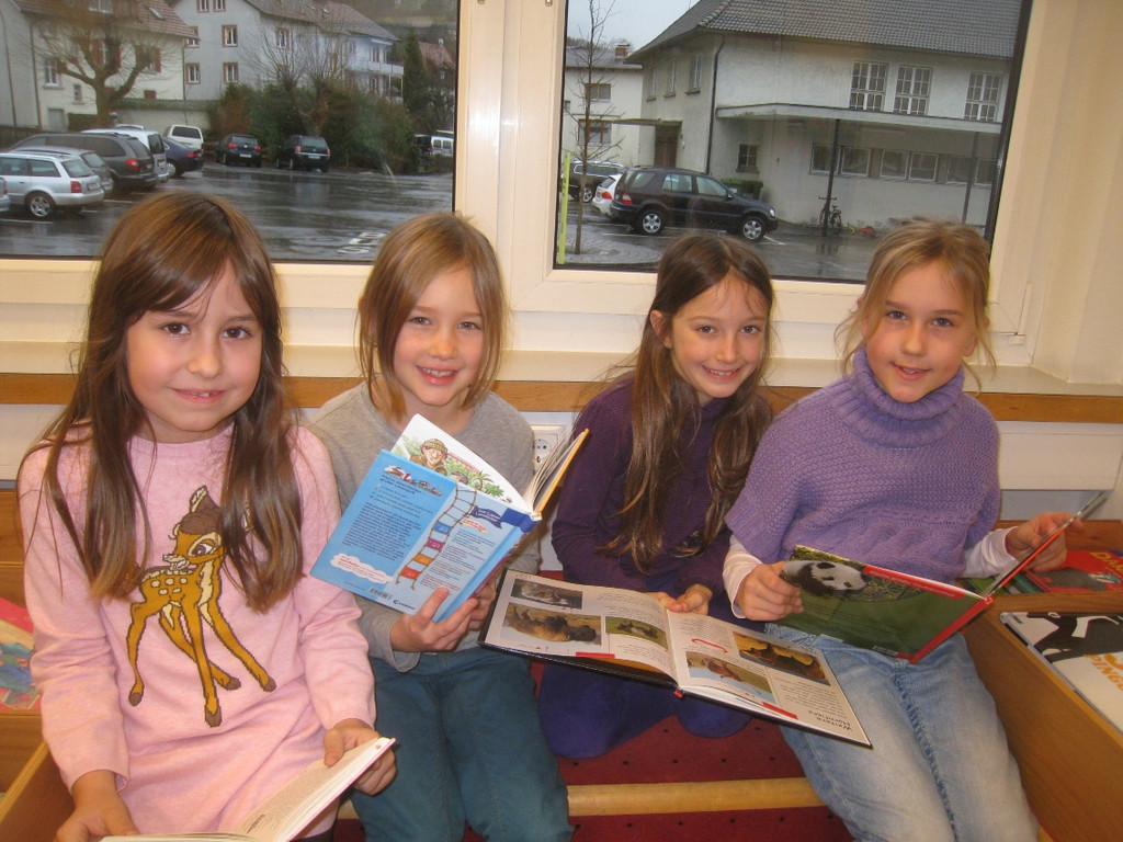 Buecherei Buecher NEU 2013 _5__jpg-1368794337