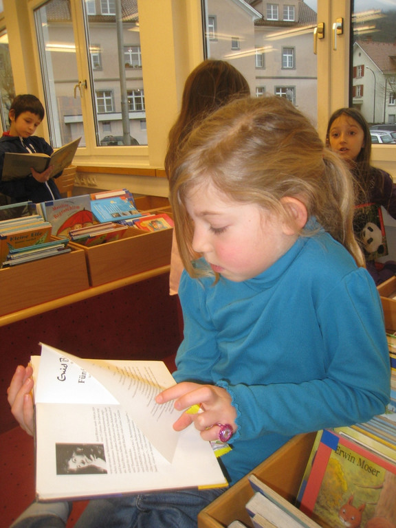 Buecherei Buecher NEU 2013 _7__jpg-1368794348