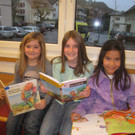 Buecherei Buecher NEU 2013 _11__jpg-1368794371
