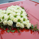 Hochzeit H__chst_ M__dchen mit Pferd 015_JPG-1368868035