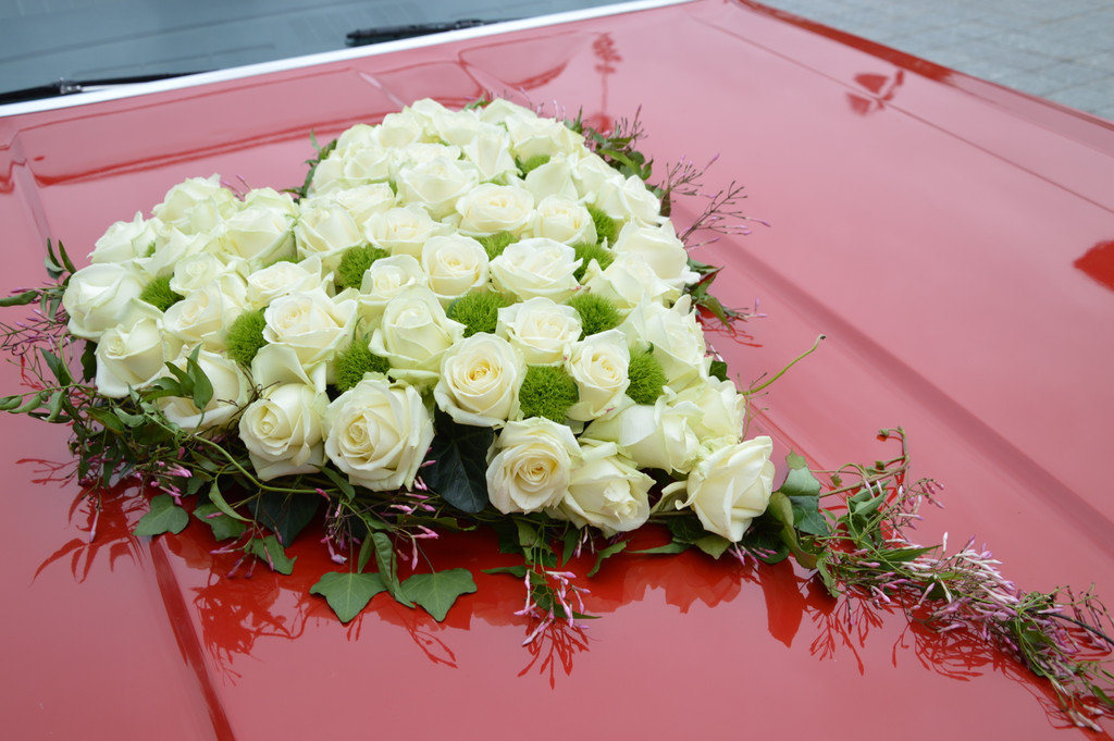 Hochzeit H__chst_ M__dchen mit Pferd 015_JPG-1368868035