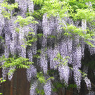 DSCN9420_JPG-1368882396