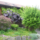 DSCN9419_JPG-1368882365