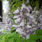DSCN5423_JPG-1368882301